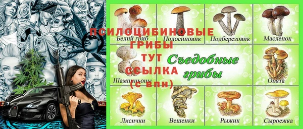 Альфа ПВП Аркадак