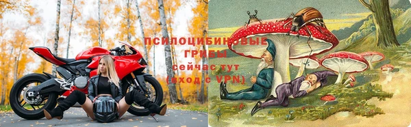 Альфа ПВП Аркадак