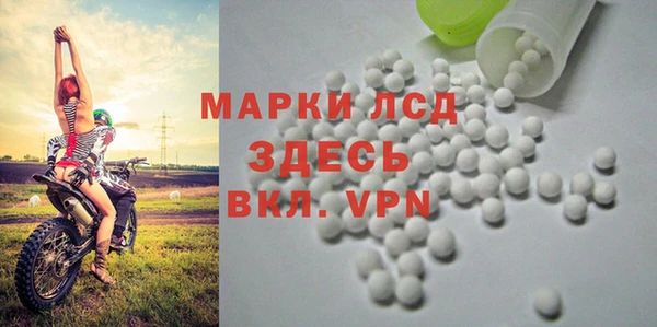 Альфа ПВП Аркадак