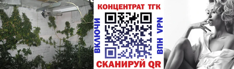 KRAKEN ONION  Цимлянск  ТГК гашишное масло 