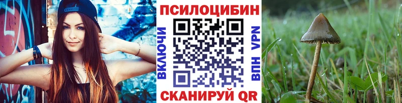 Галлюциногенные грибы ЛСД  кракен маркетплейс  Цимлянск 